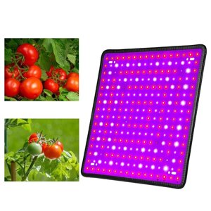 5000 Вт LED Полный спектр Растение UV Выращивание легких овощей Лампа Гидропоника в помещении