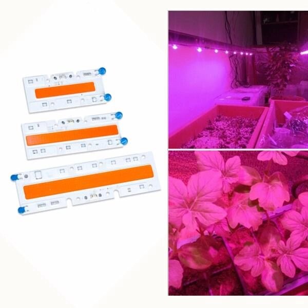 30W / 50W / 70W High Power Full Spectrum LED Увеличить COB Light Chip для растений Растительный AC110V / AC220V - описание