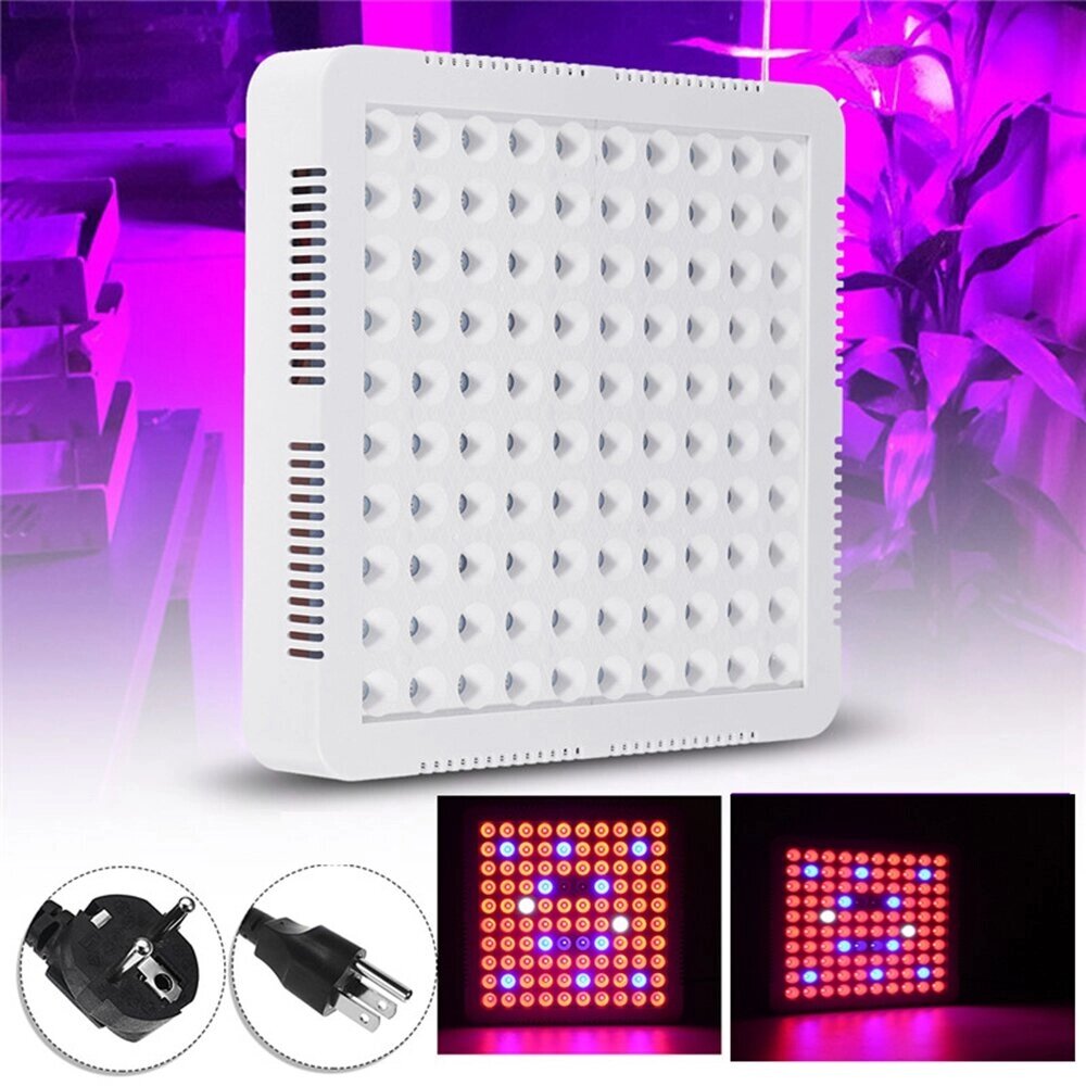 300W LED Растущий светлый гидропонный полный спектр для Veg Flower Indoor Растение Семена - Армения